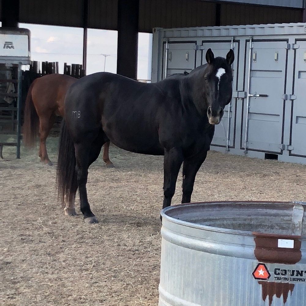 Meet your Posher, Deb